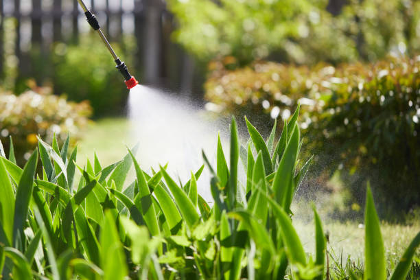 24/7 Emergency Wasp Removal experts in Lake Shore, MN