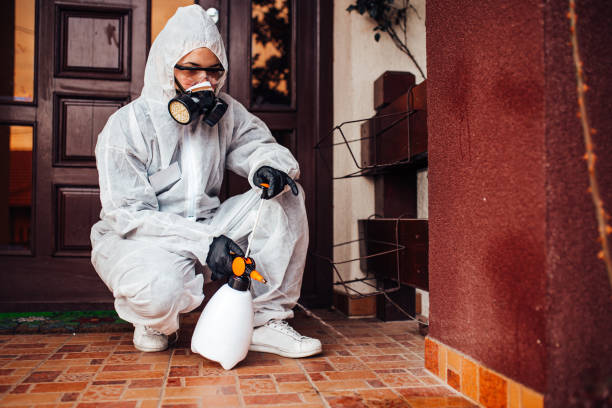 Reliable Wasp Removal contractor in Lake Shore, MN by Show Me Pest Control